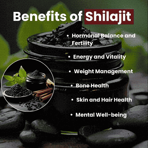 Organic SHILAJIT