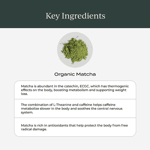 Matcha [ Tea ]