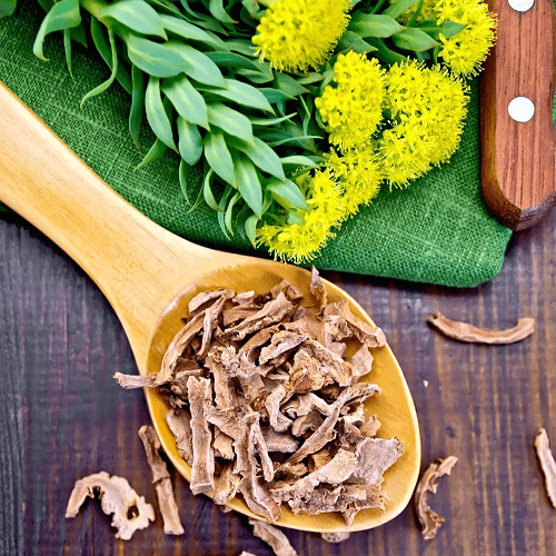 Rhodiola Rosea